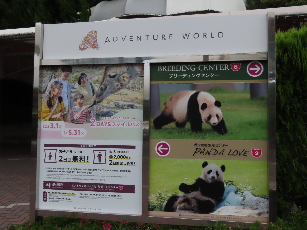 shuttle72842's tweet image. アドベンチャーワールドのレストラン「Jambo」とエンジョイドームの間にあるパネルです。

#アドベンチャーワールド 
#ブリーディングセンター
#PANDALOVE
#永明
#良浜
#桃浜
#結浜 

←2025.6.29
←2025.5.23　　　　　　2026.1.2→