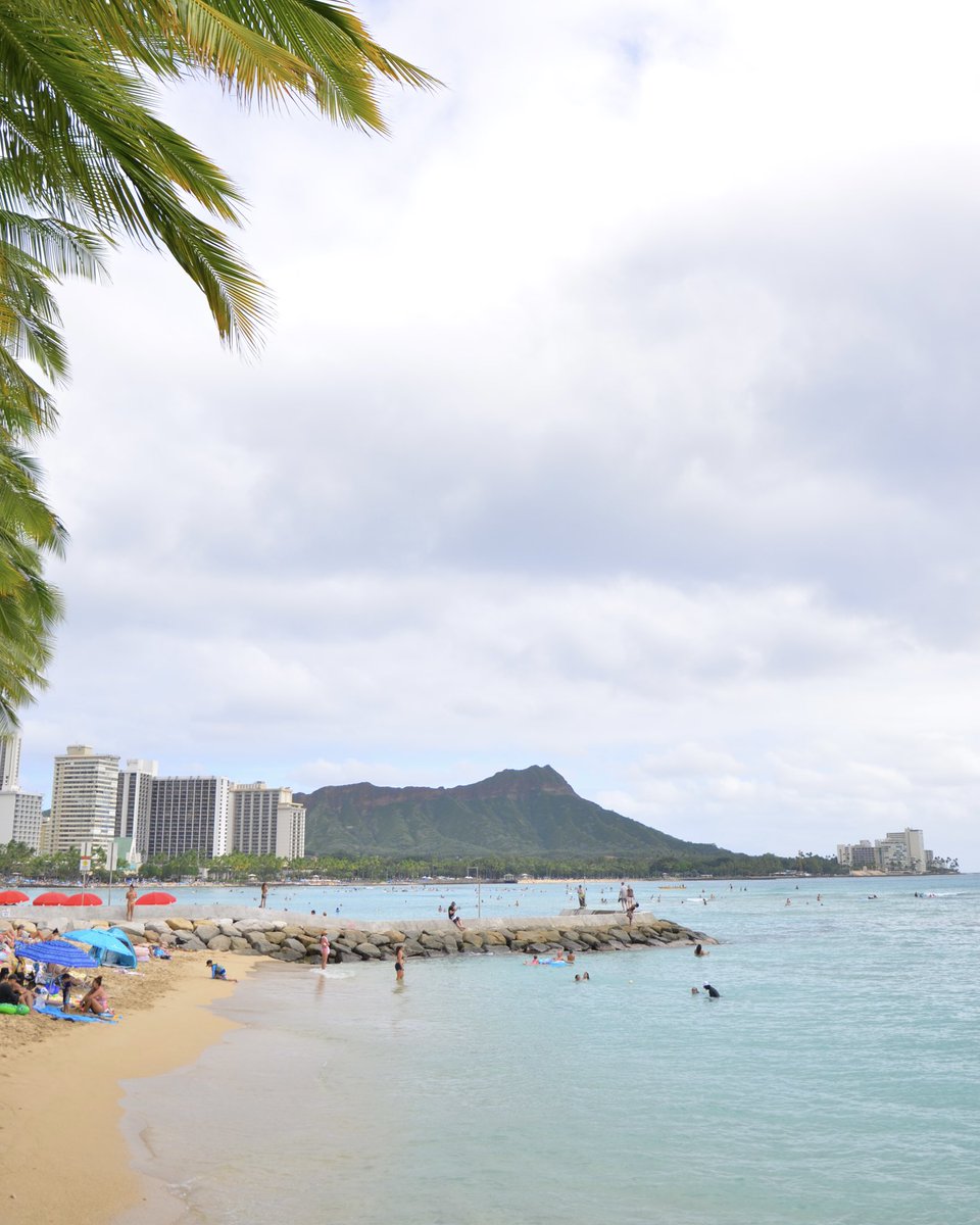 アロハセブン【公式】 (@aloha7inc) / Posts / X