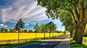 MMessel's tweet image. Đừng sống nhanh hơn khả năng chữa lành. 🩹⏳

@EdgenTech @Pact_Swap @YOM_Official #Umi