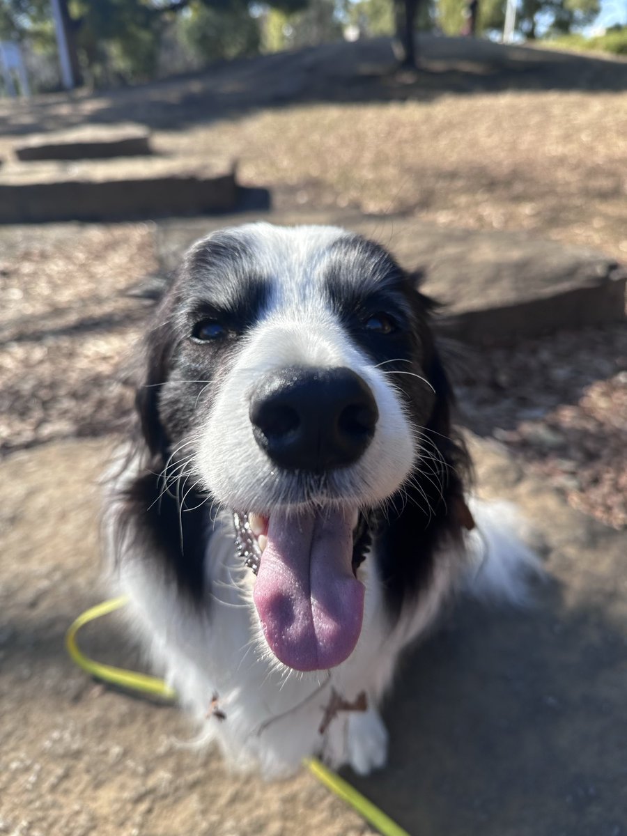 🎀𝐏𝐫𝐢𝐧𝐜𝐞𝐬𝐬 𝐑𝐮𝐛𝐲🎀 tweet media