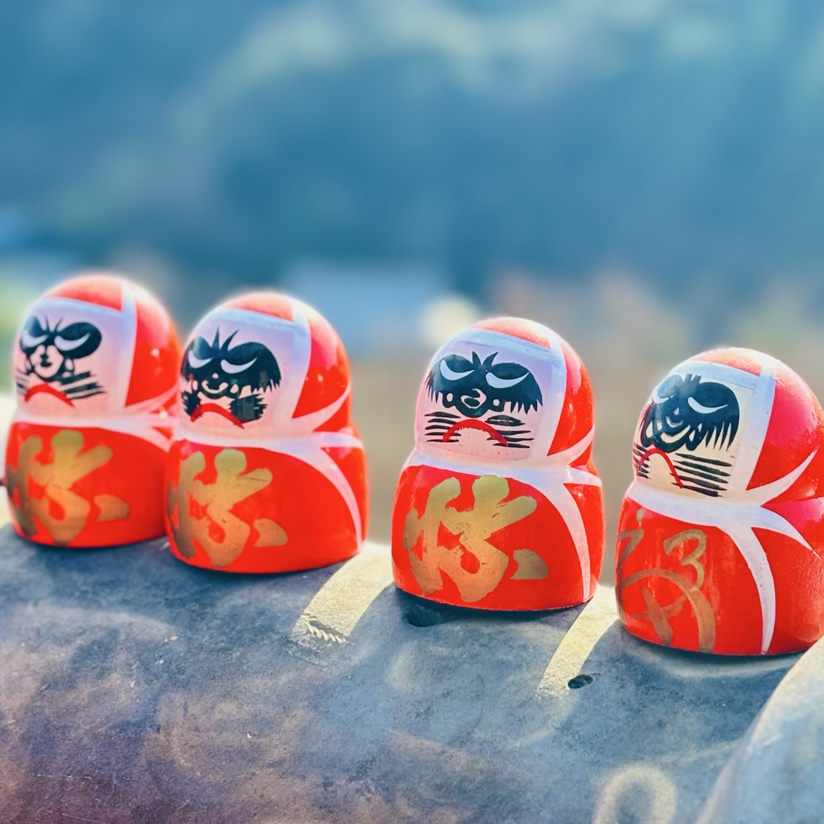 蘭丸1号機 (@shinsakan) / Posts / X