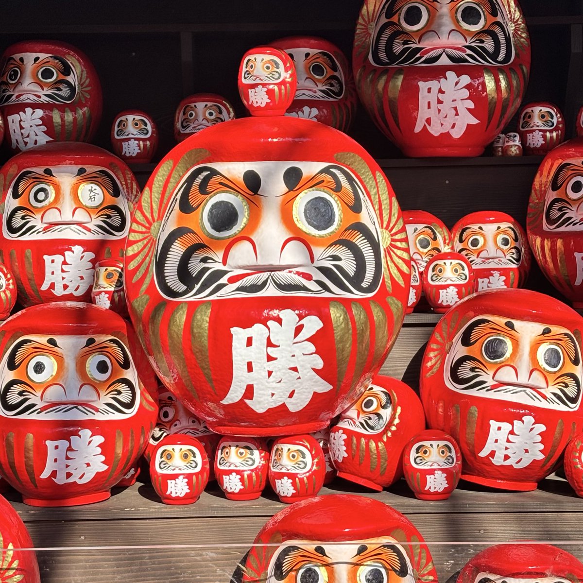 蘭丸1号機 (@shinsakan) / Posts / X