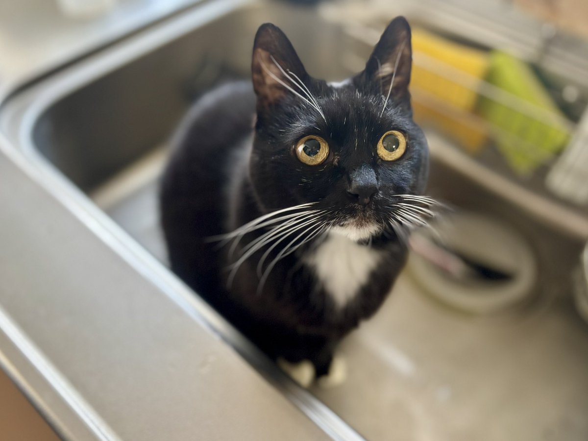 そんなところ入るのやめなさい