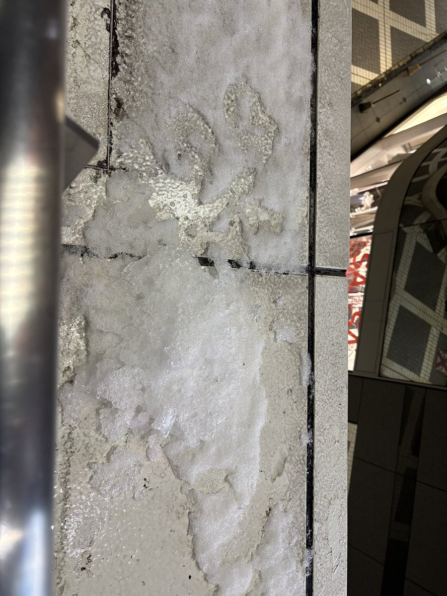 番長#髭男#ヒゲダン 2/1ロヂフェス (@ongaku92949318) / Posts / X