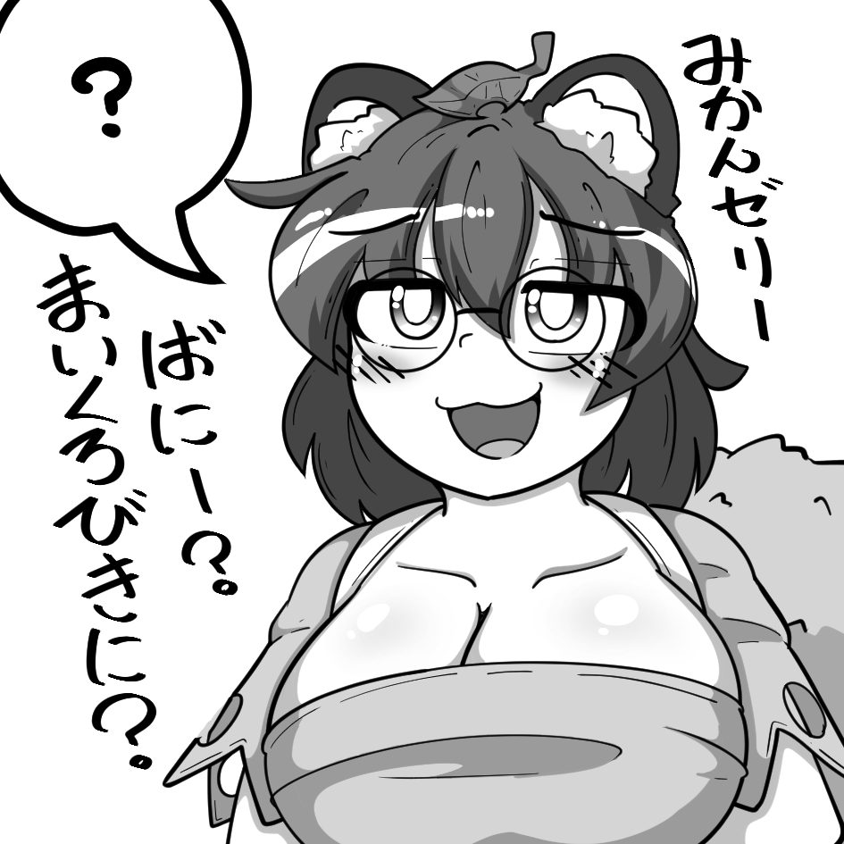 今回はマミゾウさんです、それ以外は何も決まってないにょ 