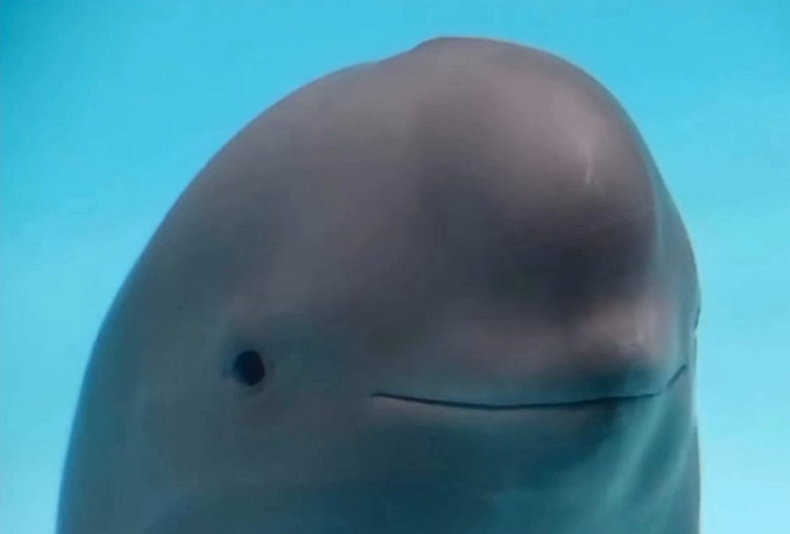 UNCLE 🏴‍☠️ EDDIE 🫵😹 tweet media