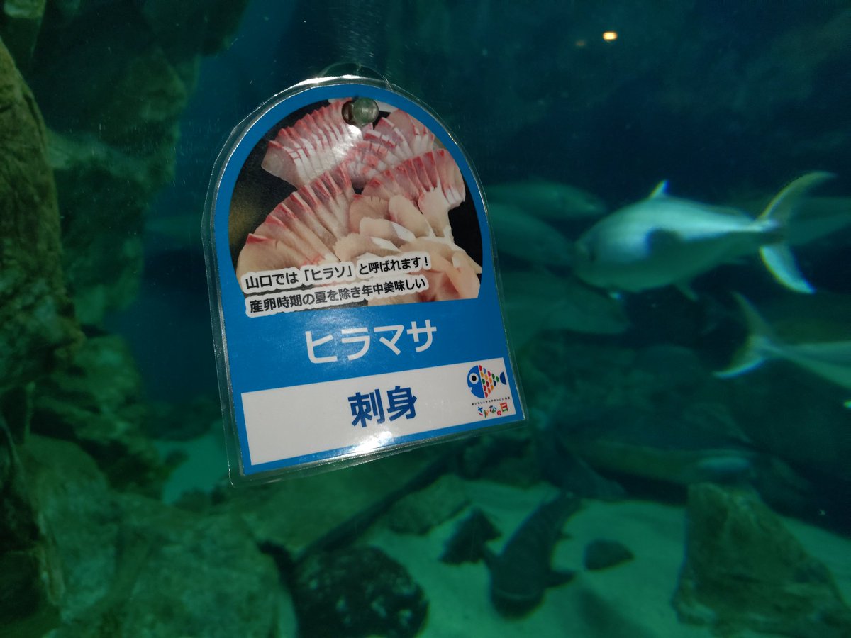 しおん🦅 (@shn72fb) / Posts / X