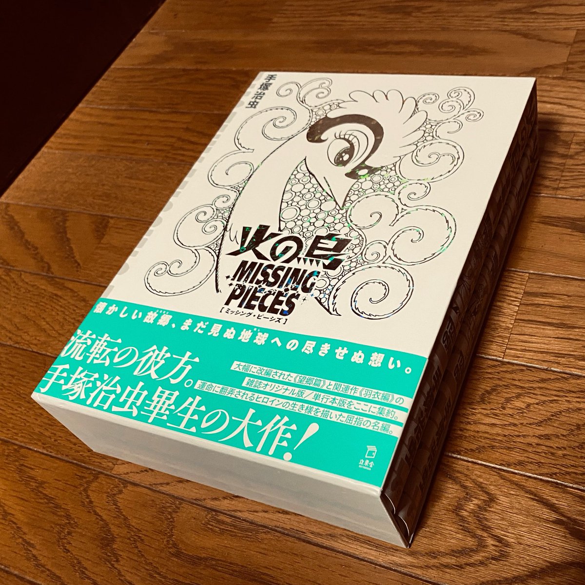 手塚治虫著『火の鳥 ミッシング・ピーシズ 《望郷編》』（立東舎