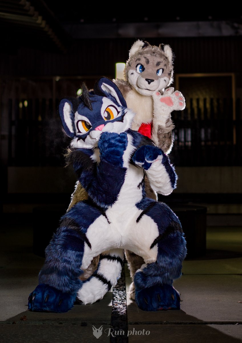 るん (Run)→JMoF (@run_charizard) / Posts / X