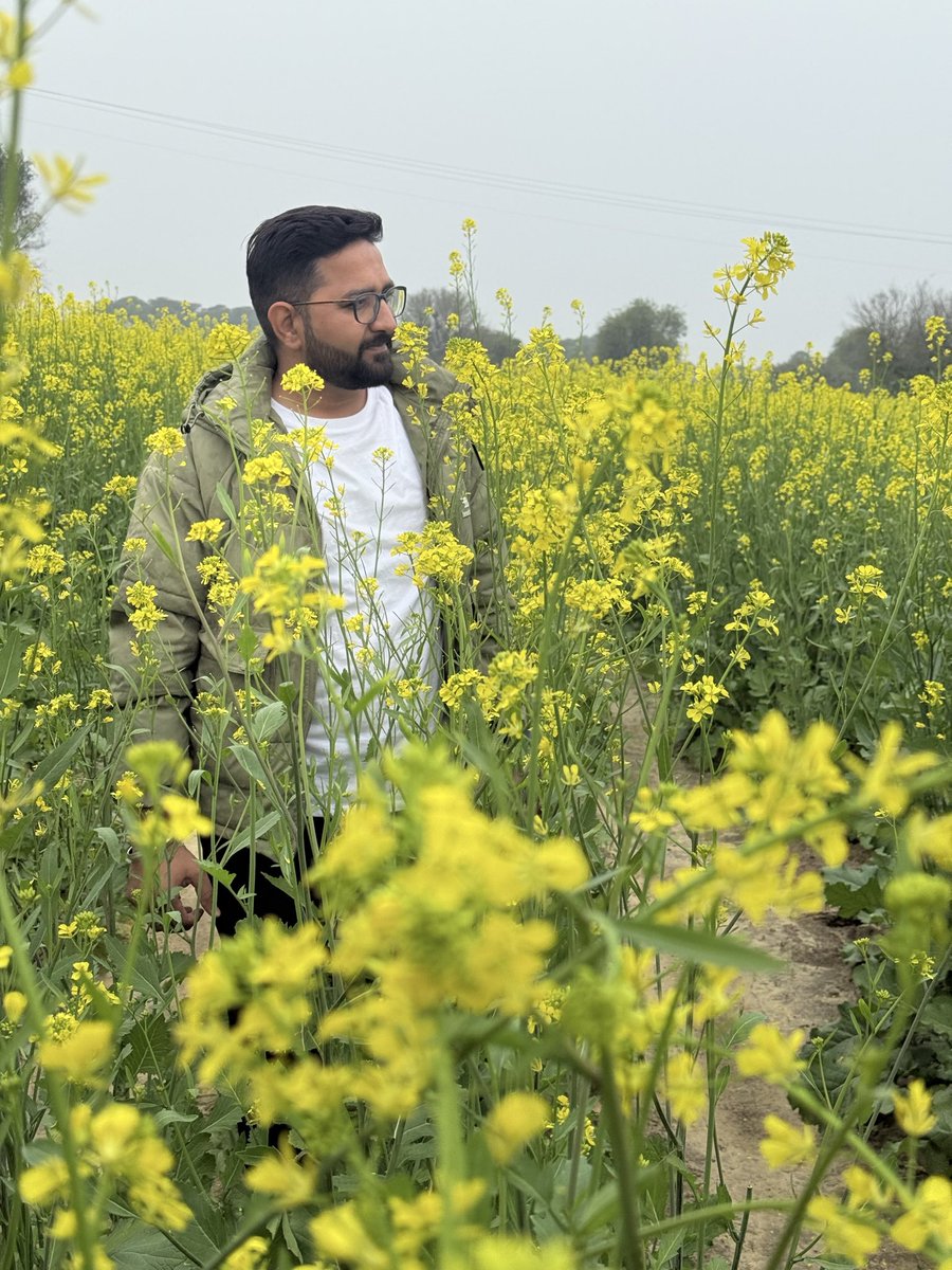 सुकून का दूसरा नाम मेरे खेतों की हरियाली है ।
शुभ प्रभात 

#किसान