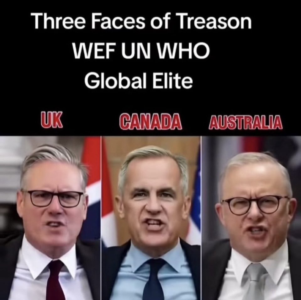 TruthFairy131's tweet image. TREASON 

These 3 Men are treasonous traitors &amp;amp; are facilitating the invasion &amp;amp; the destruction of our nations.

Their corrupt communist parties must be removed.