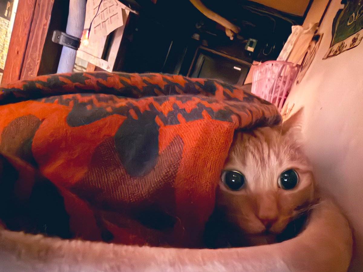 ろっち (@kumax_r) / Posts / X