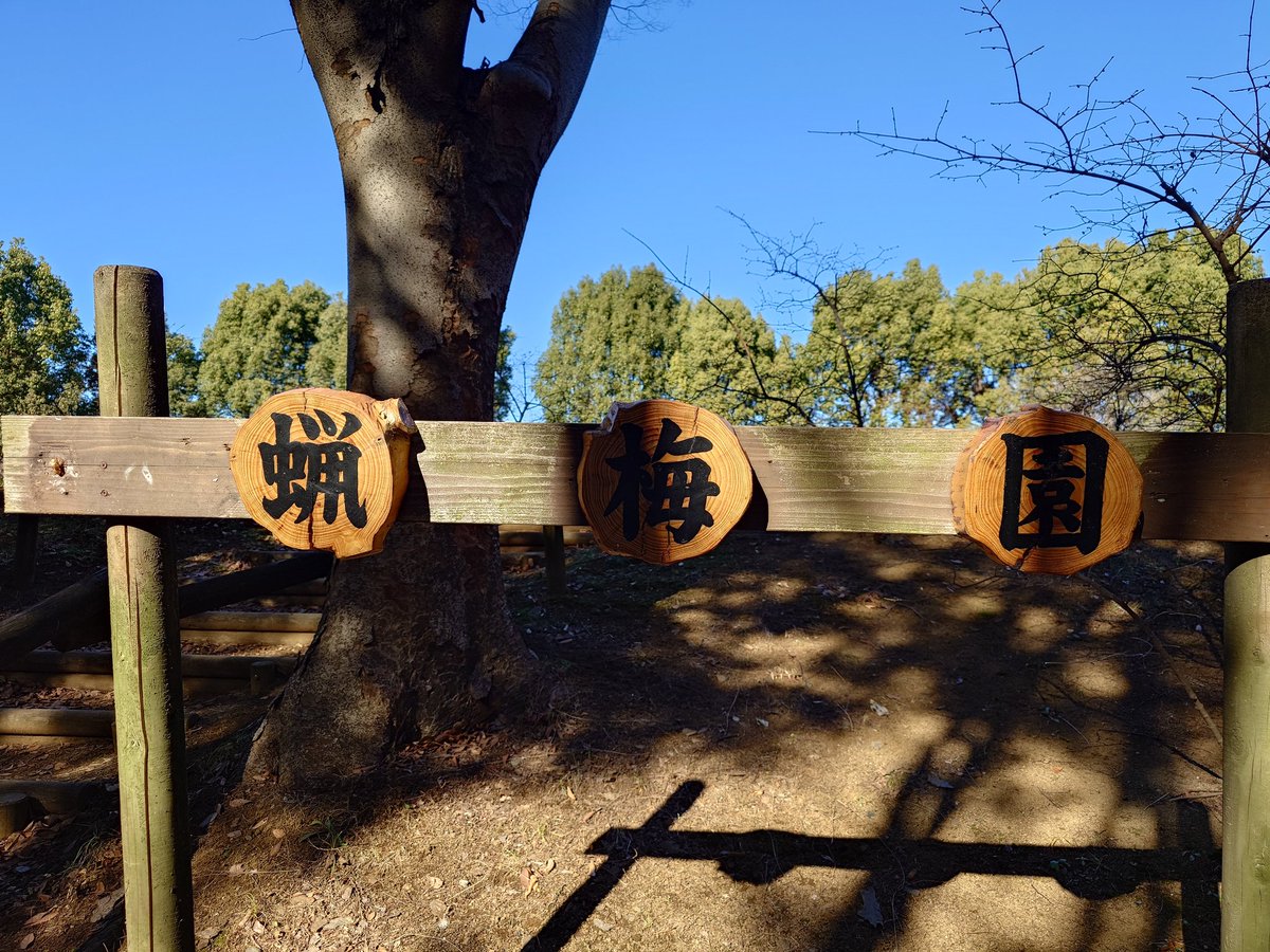 あきにゃん♪ページ あきにゃん🐈 (@a_ki_nya_n) / Posts / X