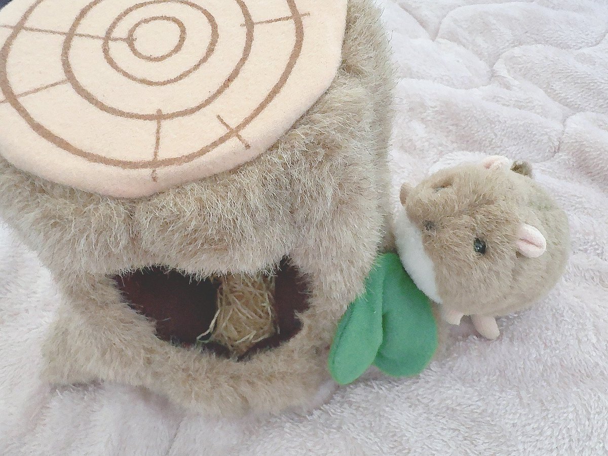 小さい頃、今は亡きおじいちゃんとお買い物に行った時に買って貰った