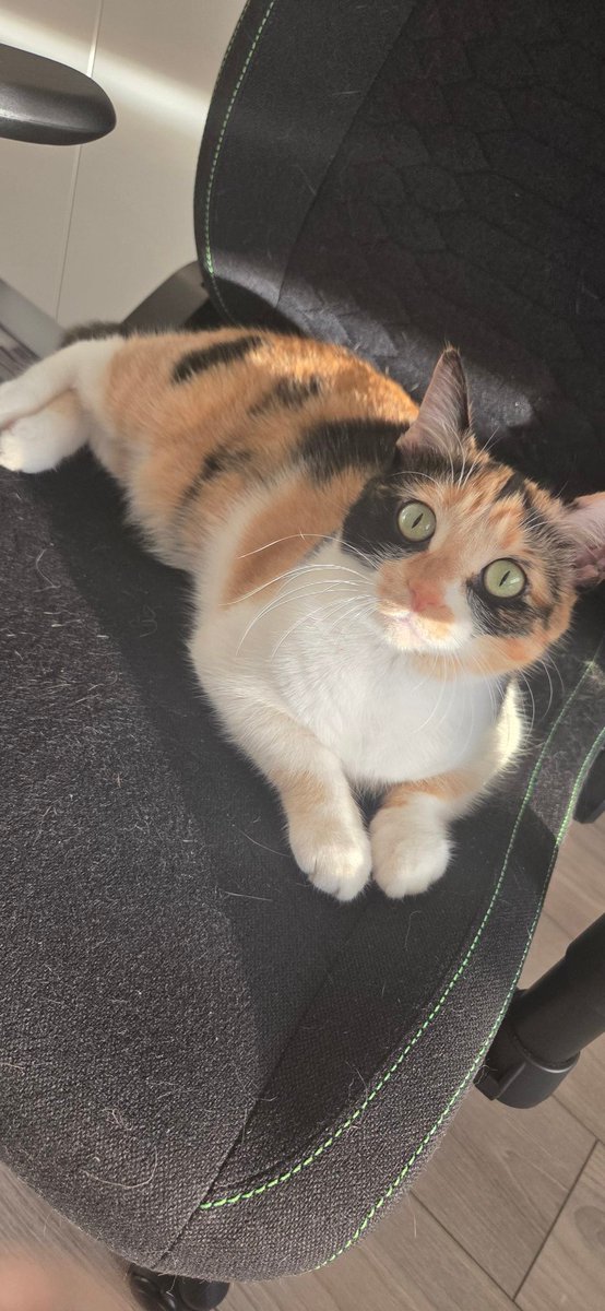 sen aramori tweet media