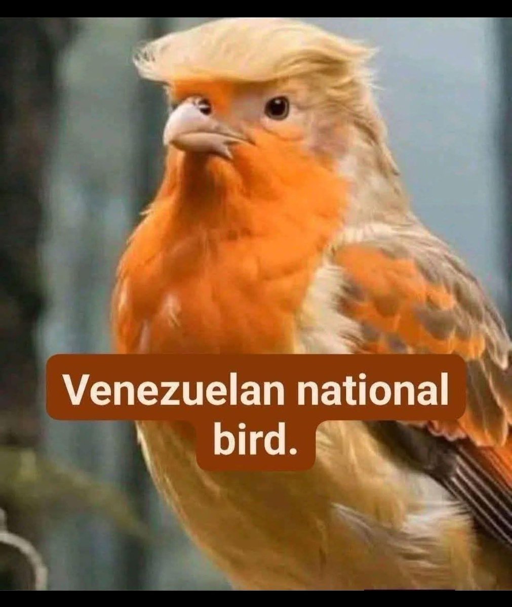 Tom S. (@tsasse71) on Twitter photo 