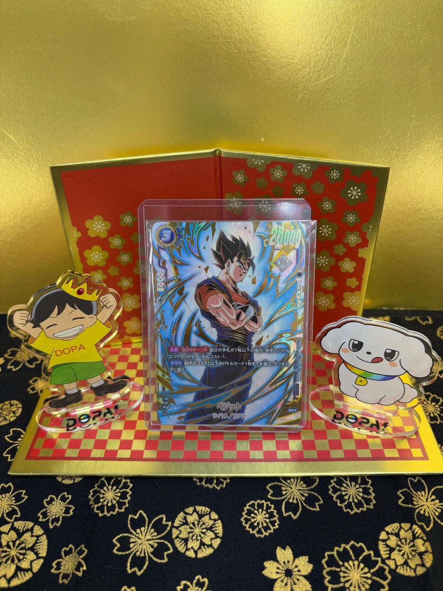 ✳︎お譲り先が決まりました✳︎ ブゥ(みー) (@16ku4jnxsipVtj3) / Posts / X