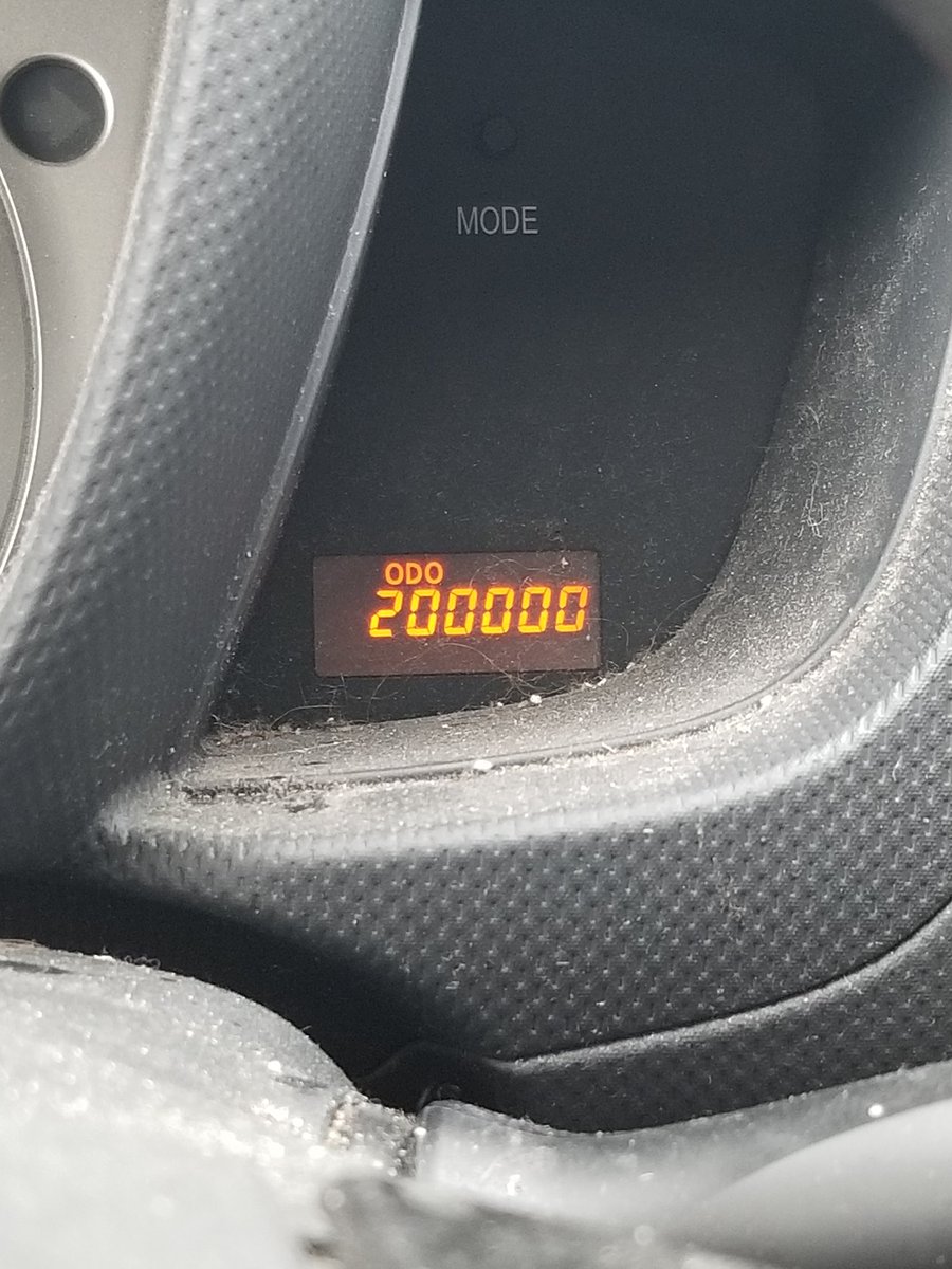 MatthewTheAmazo's tweet photo. Just me an my bro Gomi hittin' milestones. And yes I know he's dirty. https://t.co/dOD3EikmDP