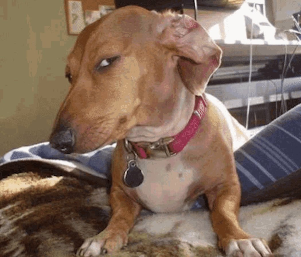 How I look at bro, when he sends me a bonk ca