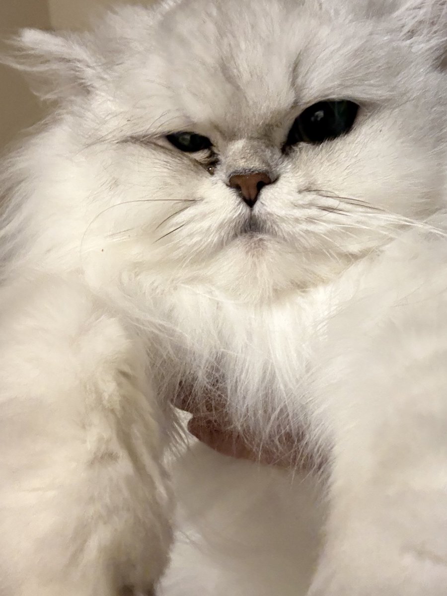 今日もMOGU~ 17時からはたまごpと都築pと🙌🙌🙌