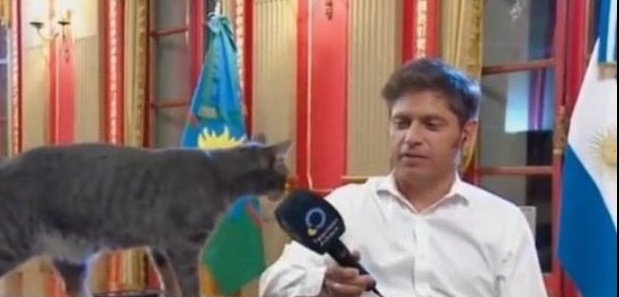 Astartebord (@hagovwarhammer) on Twitter photo 