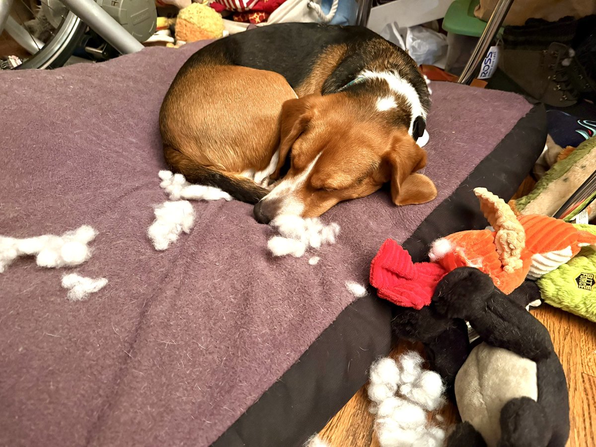 CPL Bixby, ZSHQ 🛵 tweet media