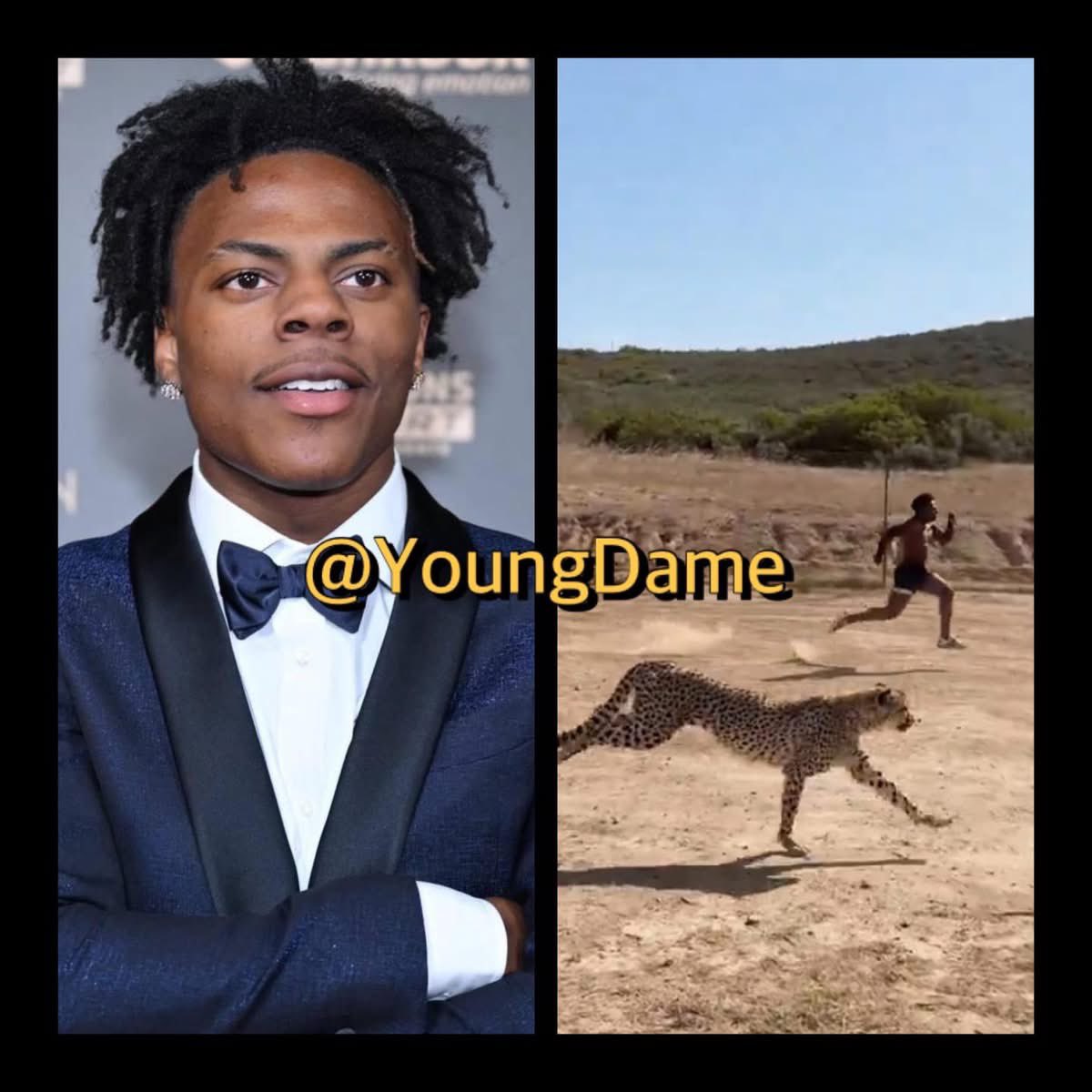 #Speed almost won against a Cheetah in a foot race during his #Africa livestream tour‼️👀😳
