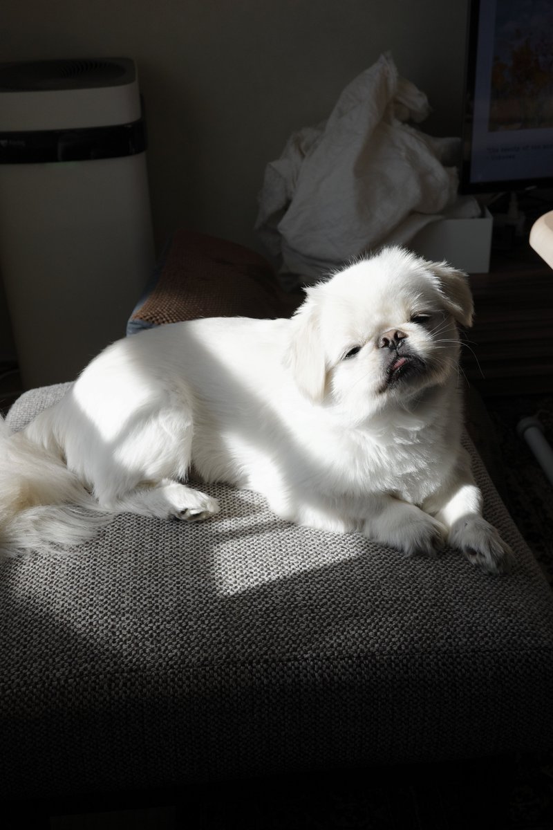 ﾑｰ､､､ﾁｮ♡/////（大統領明けましておめでとうございます！）