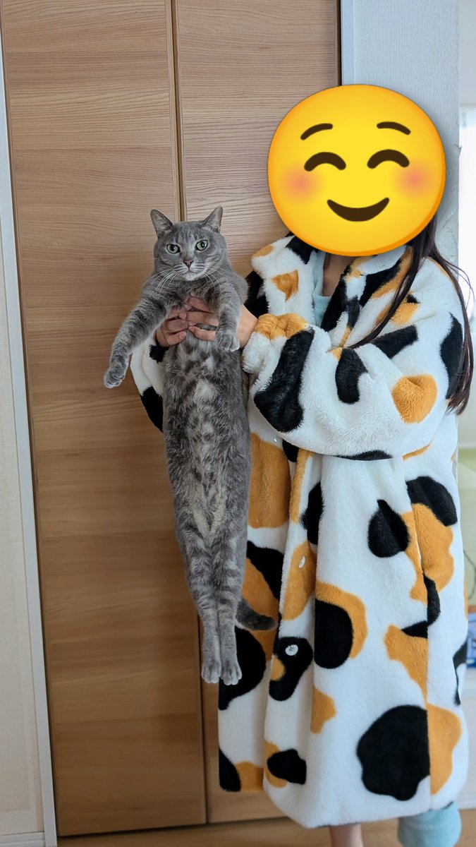 YUKI【yukichi】 (@yukichi_yuki) • Instagram photos and videos, image size:675x1200