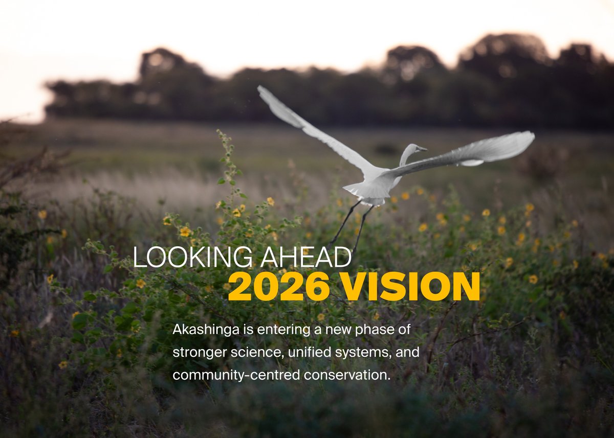 Akashinga tweet media