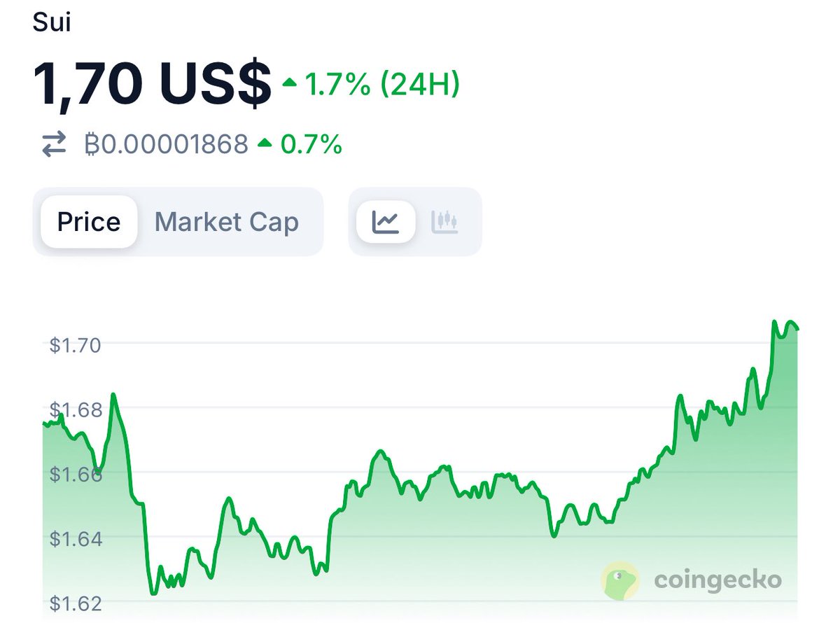 Megalodon on Sui (🦈, 💧) tweet media