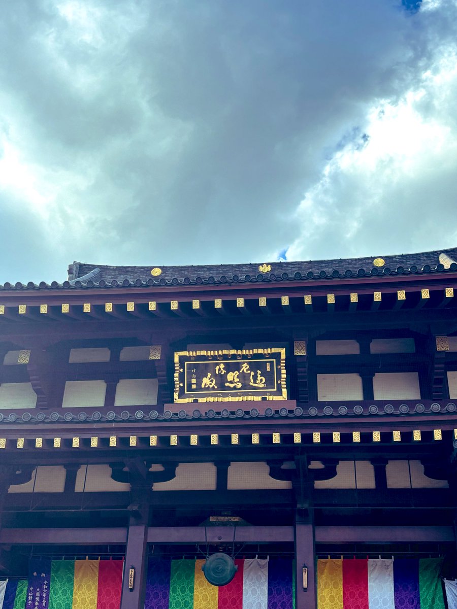 高橋美帆(たかはしみほ) tweet media