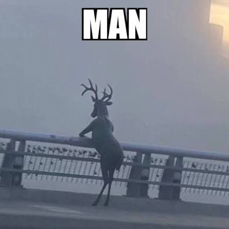 xCaptainEO's tweet image. Darnold got 14 wins in back to back seasons. We just let him walk out