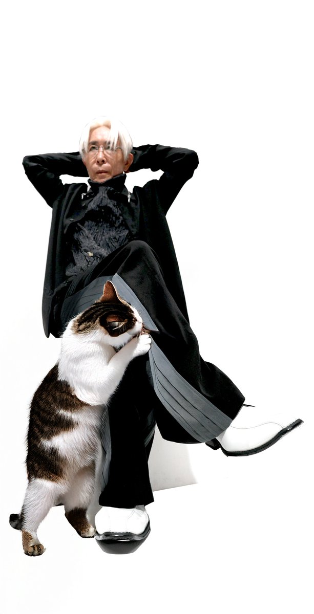 🏙にゃにゃ🐈🐥 (@Carrotshirix2) / Posts / X