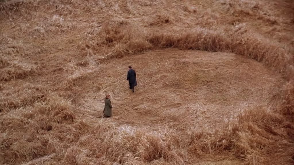 nika 🍁 tweet media