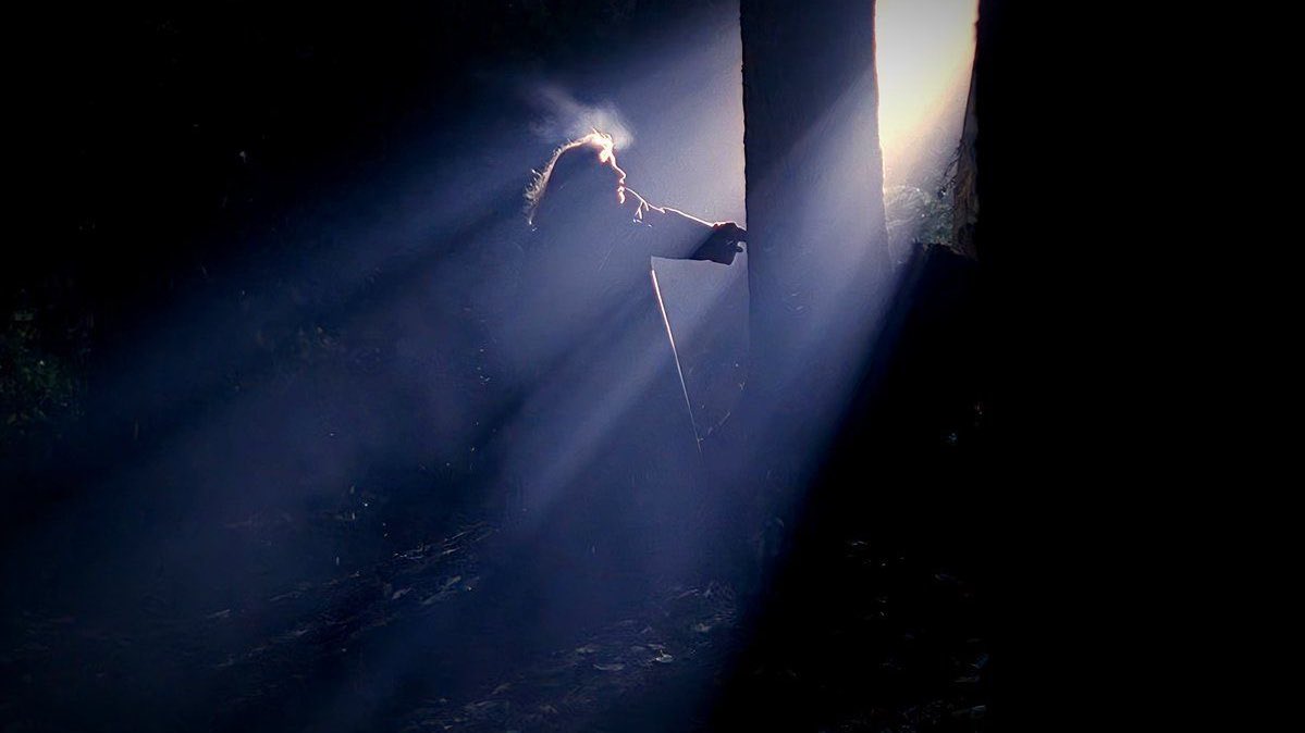 nika 🍁 tweet media