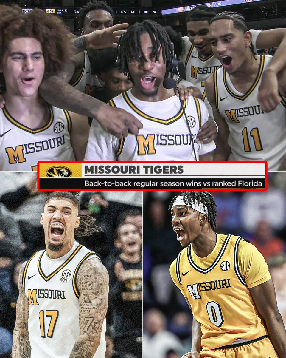 Another W over the Gators for <a href="/MizzouHoops/">Mizzou Hoops</a> 🐯
