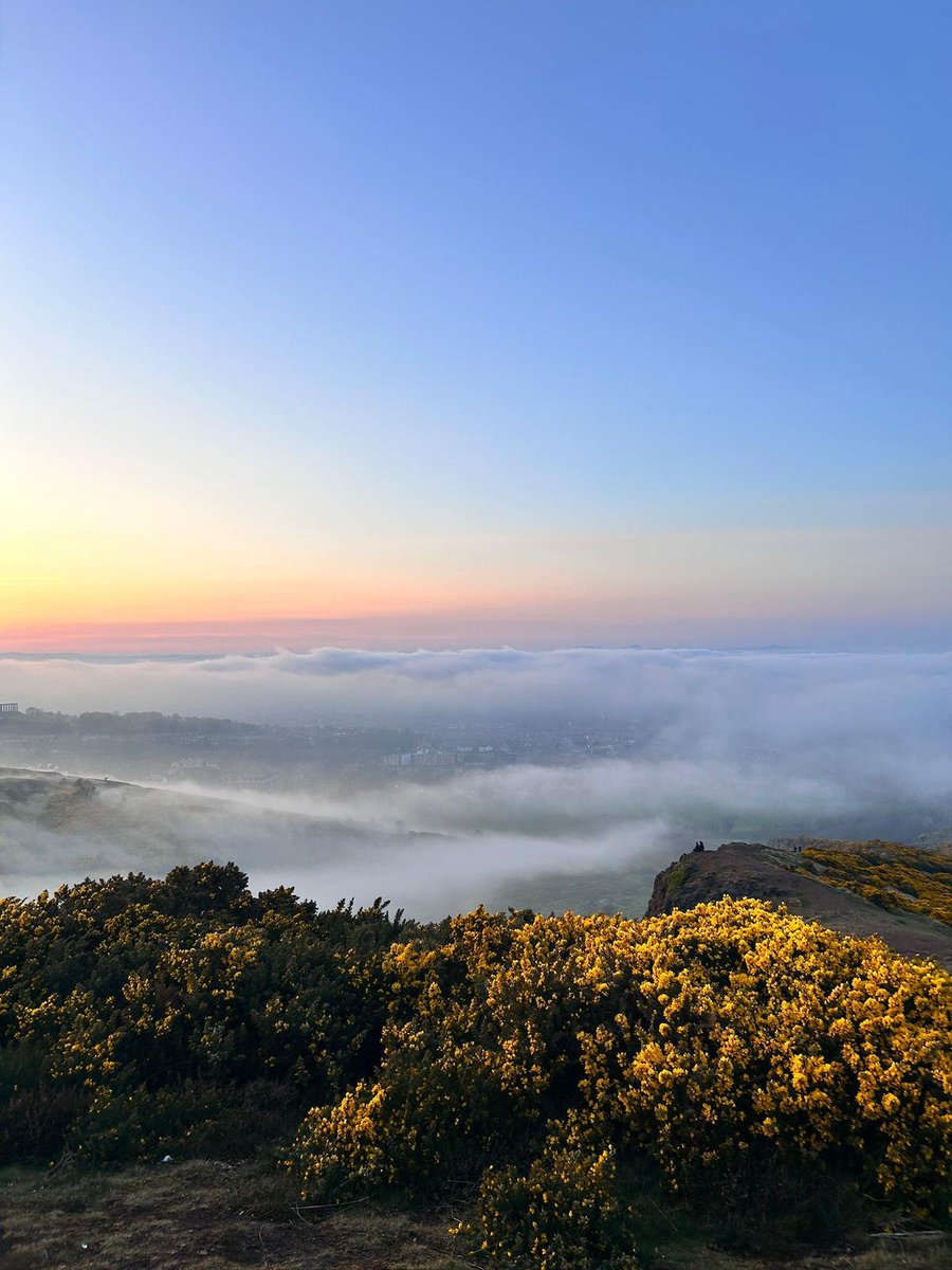 aurelia 🌻 tweet media