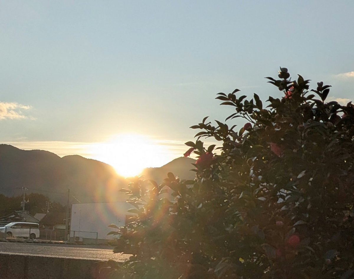 岩井千枝 tweet media