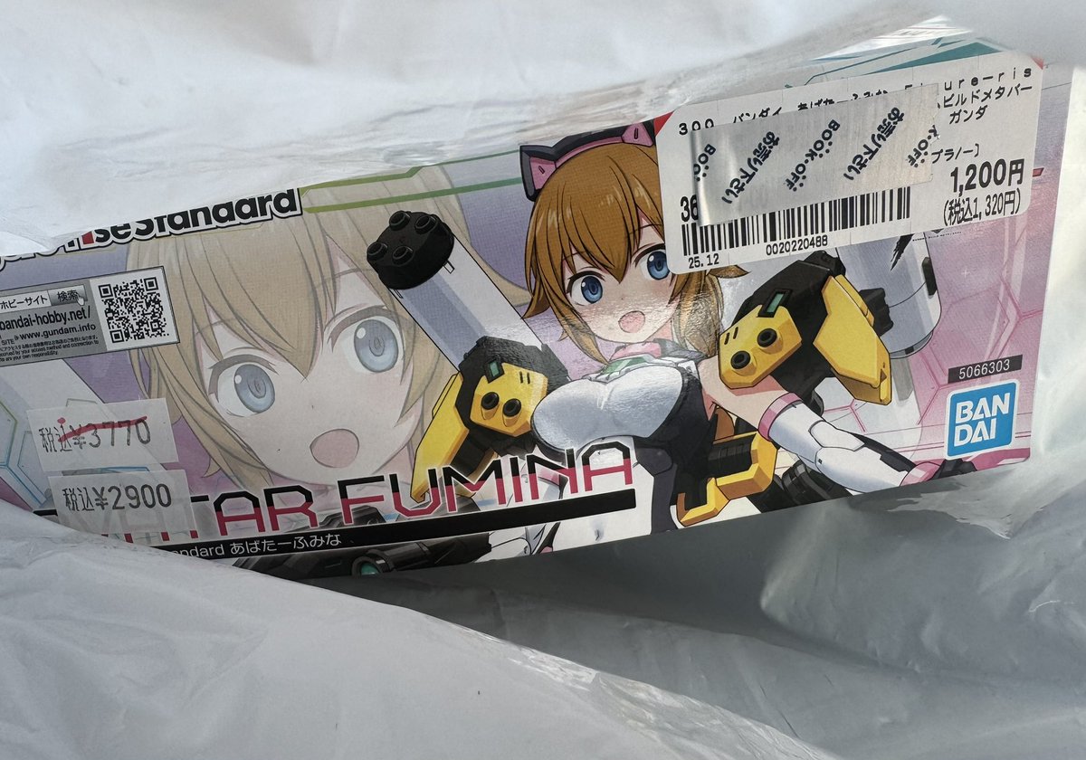 新年パニ初め！ ガンプラ？ 美プラ？ どちらでも良いや！ ここで パニ