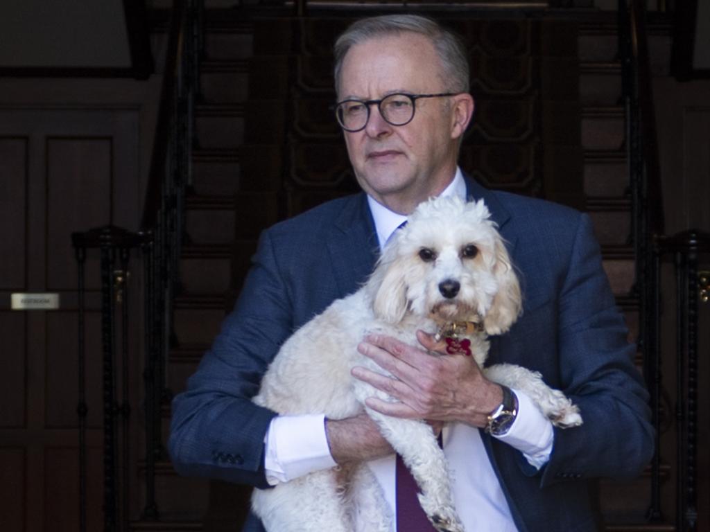 Don't you worry about that.🇦🇺 tweet media