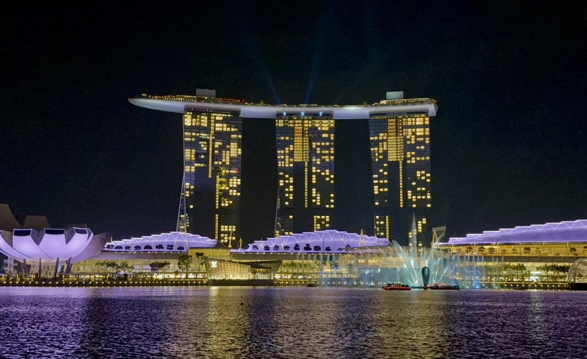 まぴょん🇸🇬 tweet media