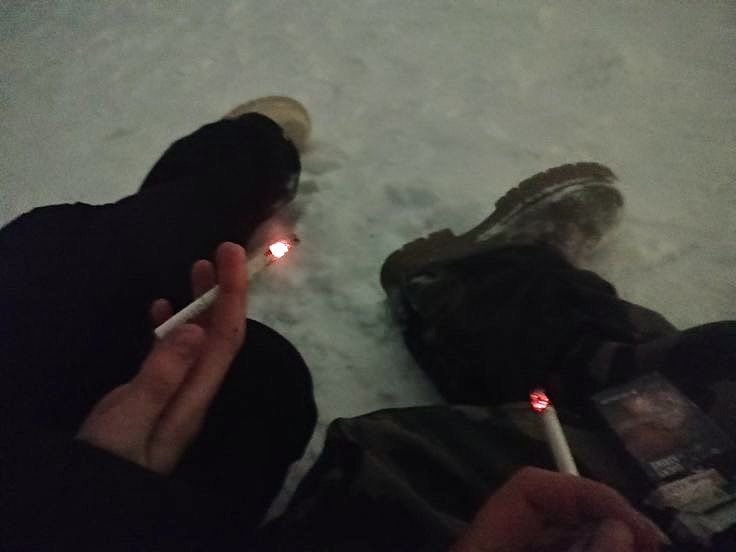 llpipi's tweet image. 