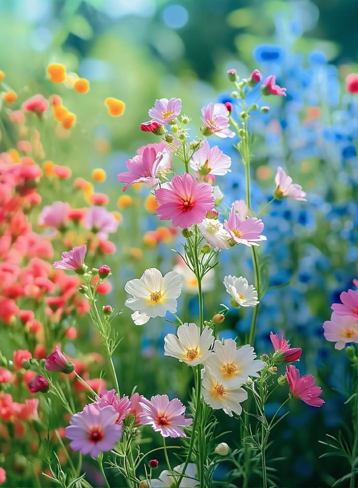 Natute123's tweet photo. https://t.co/3bVRuOEULt