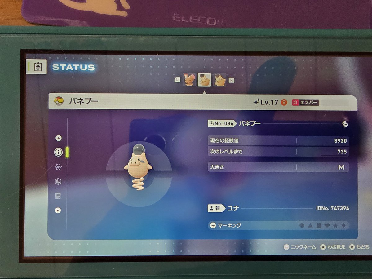 4696yuna's tweet photo. @30xx___ バネブーのみで承知致しました！
お譲りする子はこちらの子となります。
色違い2体の場合はこちらもう一体はどのようにしたらよろしいでしょうか？🙇‍♀️🙏 https://t.co/7V2FDxQloH