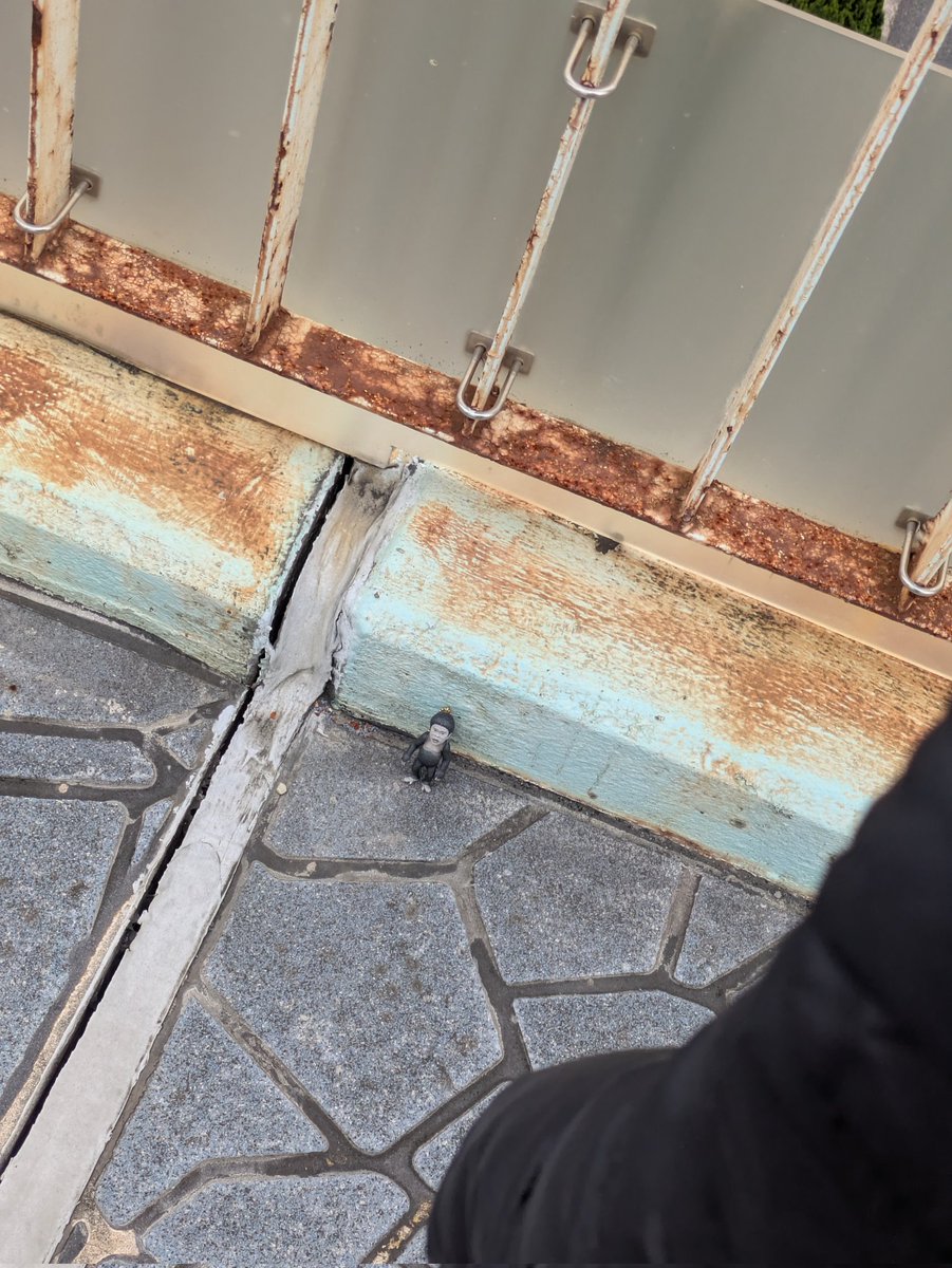 どなたか歩道橋に浜田雅功ゴリラ落としてますよ～😳 #ガキ使