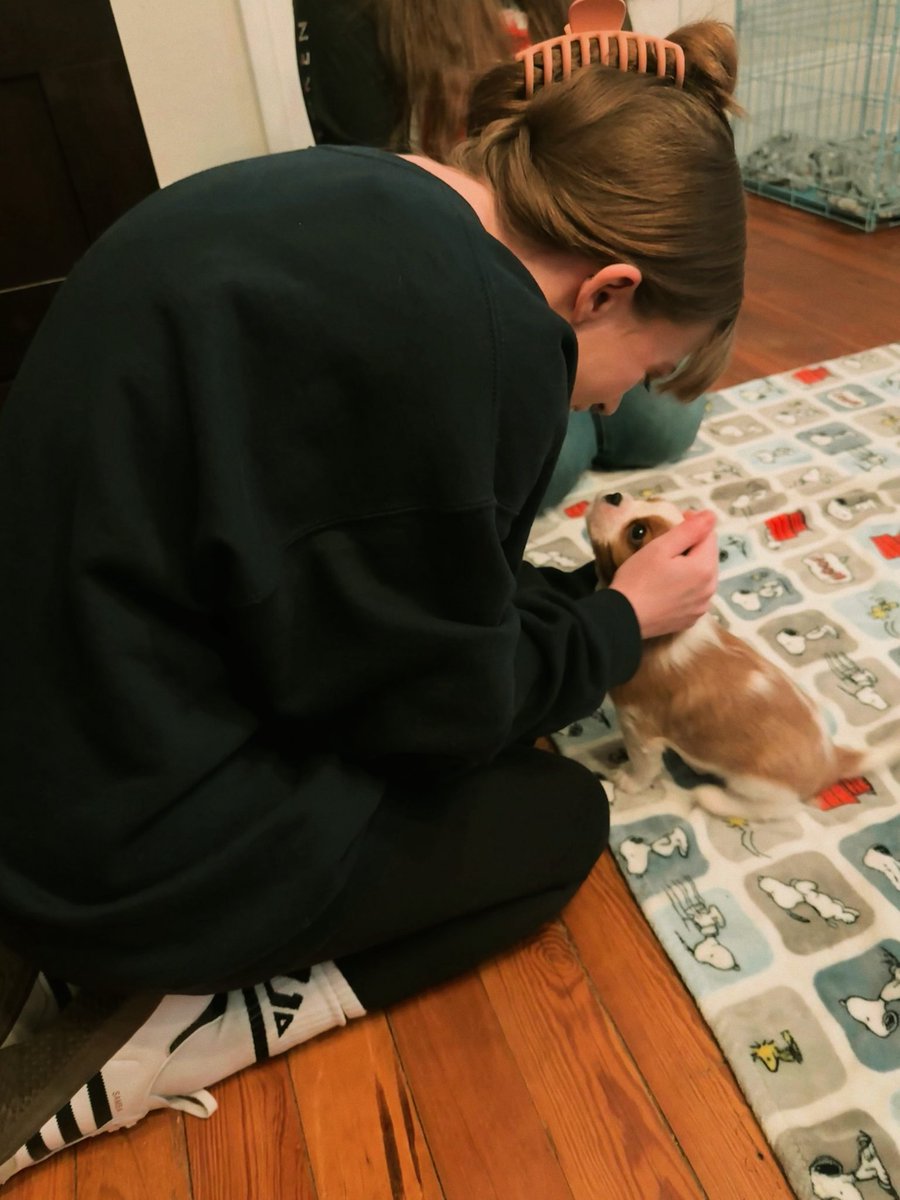 bellesthetics's tweet photo. i genuinely cried when he looked at me like this https://t.co/8J7Y01oHjR