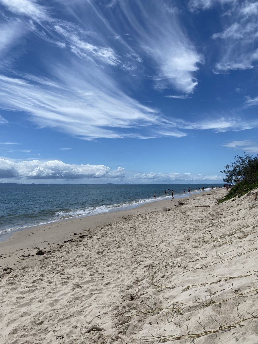 roamingfox | Alma tweet media