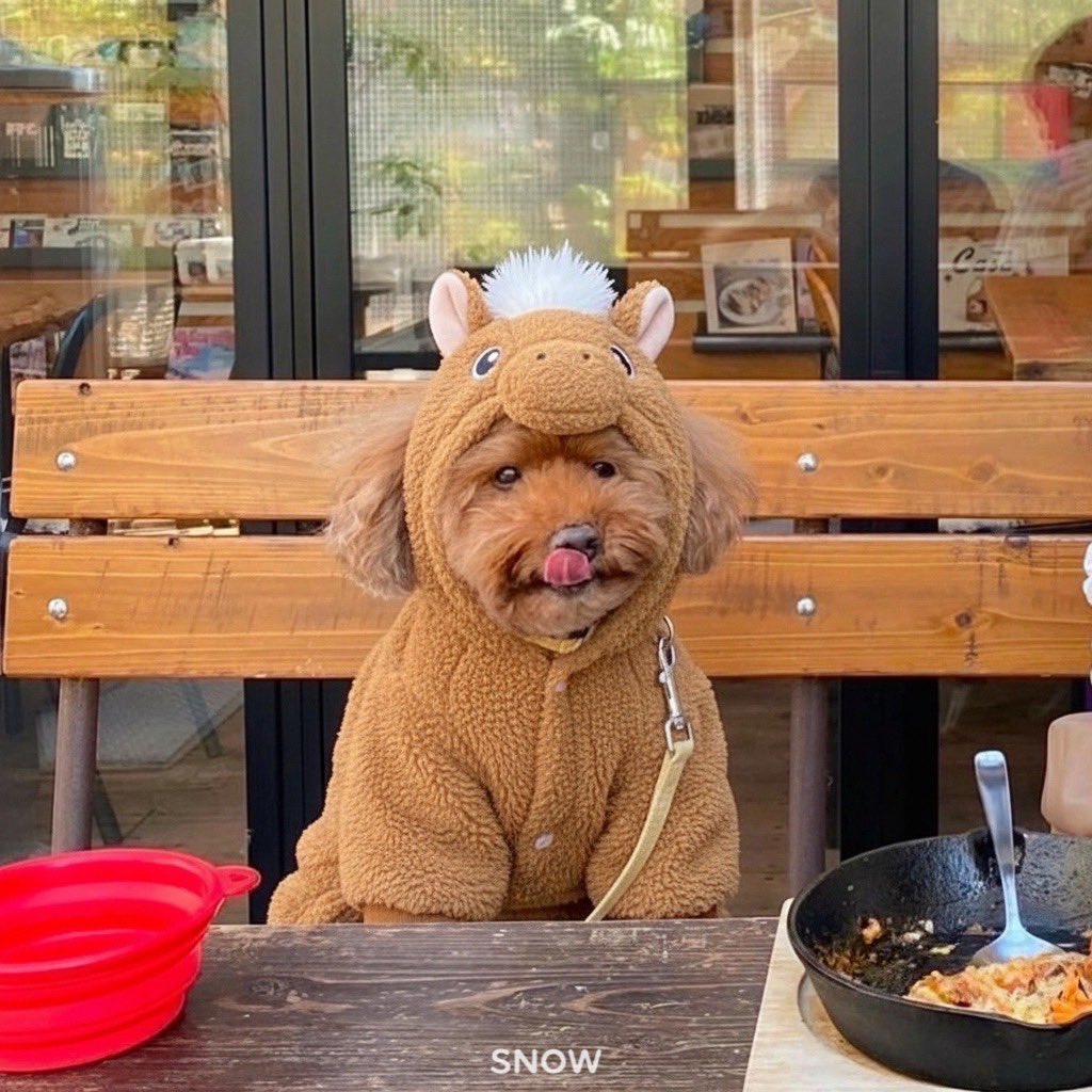 もっち様 JR201系通勤電車（JR西日本30N更新車・ウグイス・混色床下)セット