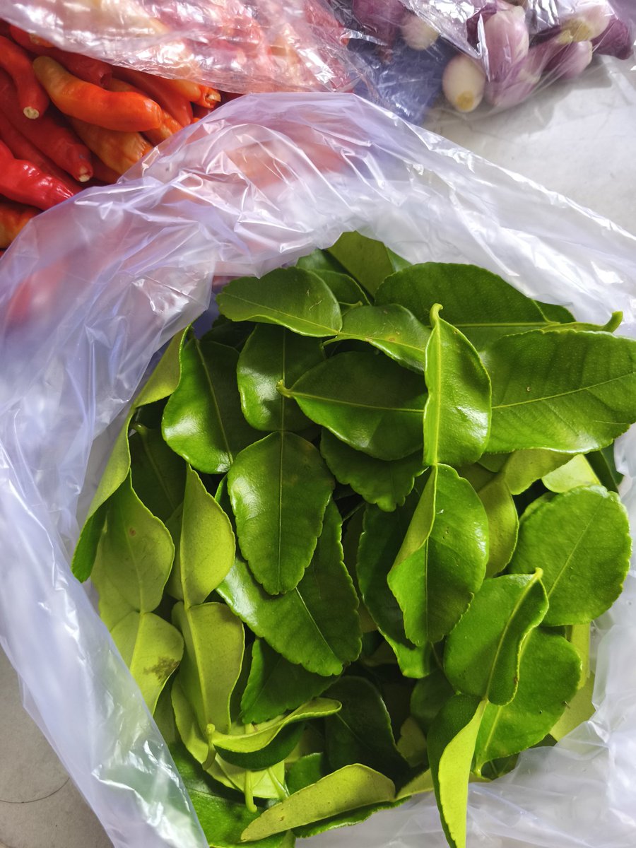 willbe0k's tweet image. Kenapa gada yg bilang kalo beli daun jeruk 1k sebanyak ini😭